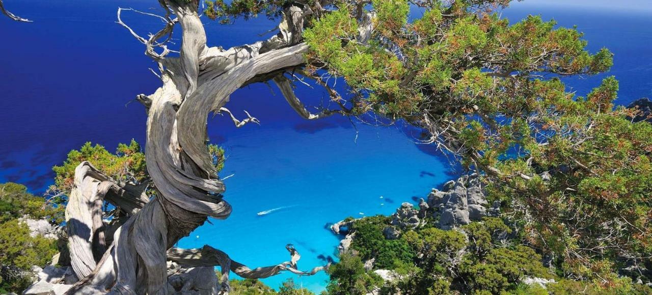 Villa Stella Fronte Mare Porto Frailis Àrbatax Eksteriør billede